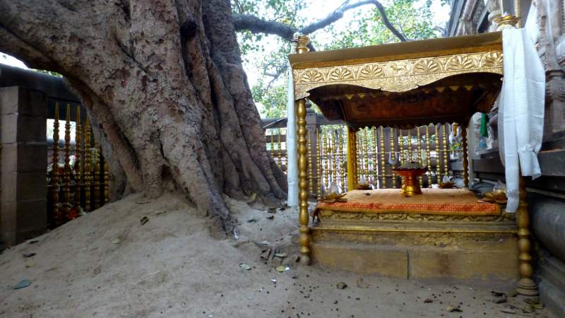 Bodhgaya Mahabodhi Vajrasan